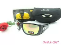 acheter sunglasses oakley 2013 lentille beau oakley good-9068